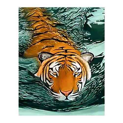 Алмазная мозаика Гранни «Тигровые воды» (полная выкладка, 48х38 см, квадратные стразы) арт. 100896507032