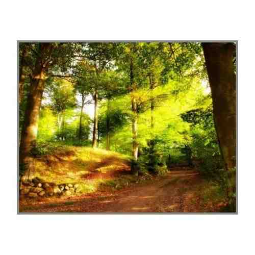 Алмазная мозаика Магия леса, Милато 40x50 см. арт. 101330818138