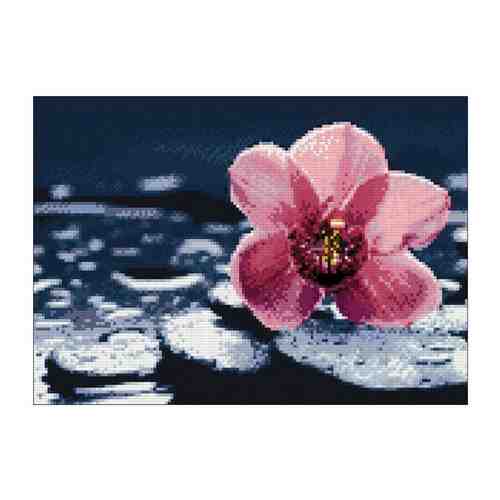 Алмазная вышивка Гранни «Орхидея Ванда» арт. 391900390