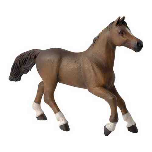 Англо-Арабская лошадь 11,5 х 3,2 х 15,9 см фигурка игрушка от 3 лет арт. 373274172