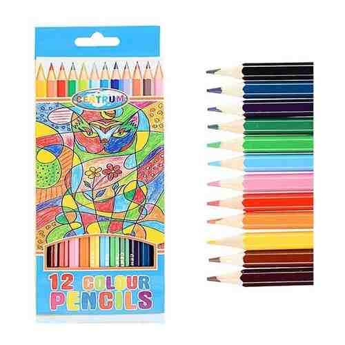 Цветные карандаши CENTRUM 12 цветов деревянные , длина 177мм арт. 101217376043