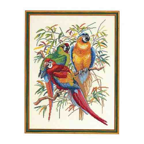 Eva Rosenstand 72-292 Parrots - Попугаи Счетный крест 44 x 54 см Набор для вышивания арт. 101454064830