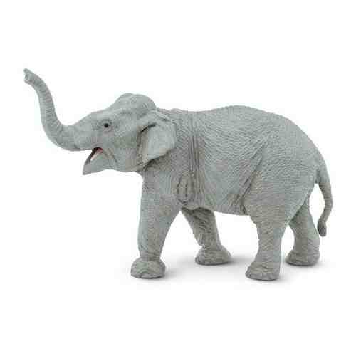 Фигурка Safari Ltd Индийский слон арт. 375930682
