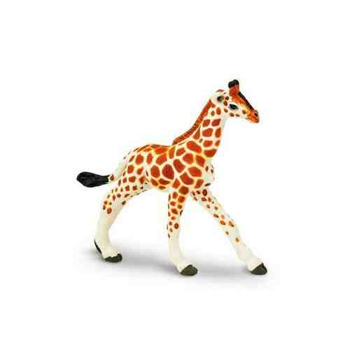 Фигурка Safari Ltd Сетчатый жираф (детеныш) арт. 651073015