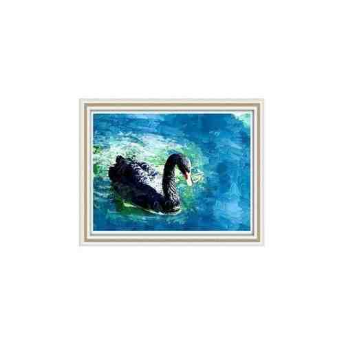 Goldhand Черный лебедь HCM062 арт. 1746692438
