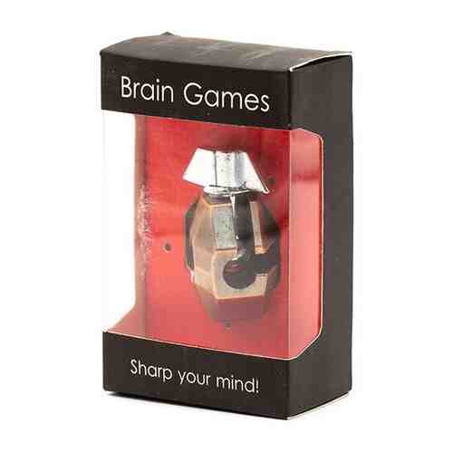 Головоломка Brain Games Metal Tortoise Shell арт. 101462670248
