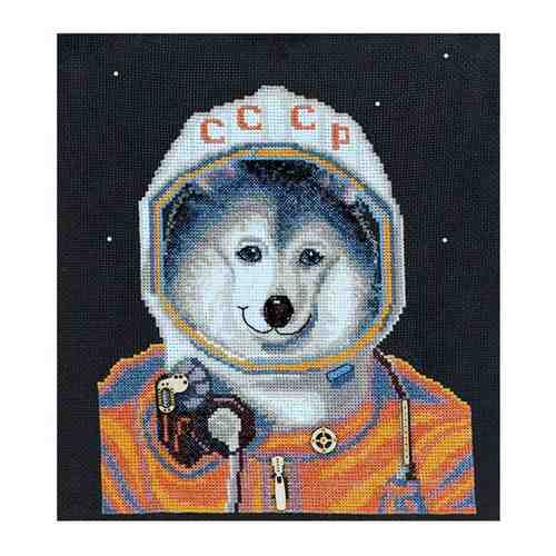 К-181 Набор для вышивания крестом Созвездие 'Космонавт' 22,5*19,5см арт. 453251936