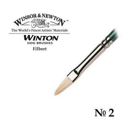 Кисть Winsor&Newton Кисть щетина овальная №2 Winsor&Newton WINTON Filbert арт. 101456759625