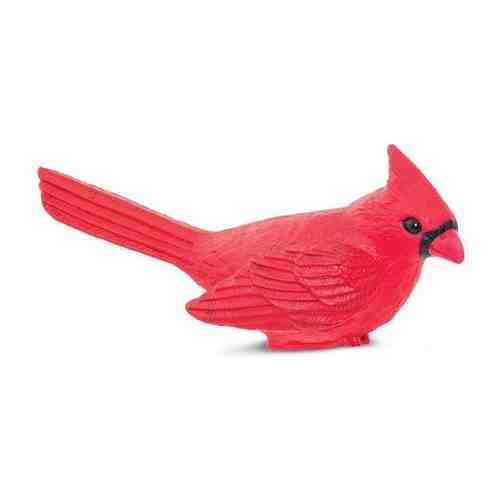 Красный кардинал XL фигурка-игрушка 12,3 х 4,5 х 4,8 см серия Птицы от 3 лет 100215 арт. 651175039