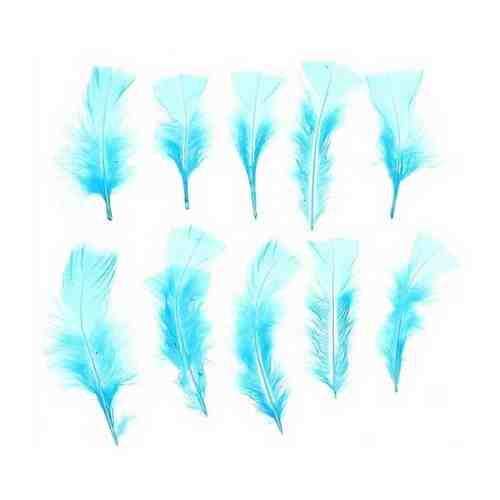 Market-Space Набор перьев для декора 10 шт., размер 1 шт: 10 ? 4 см, цвет голубой арт. 101474330293