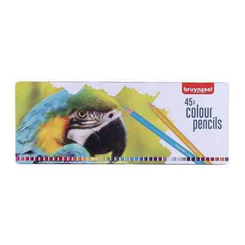 Набор цветных карандашей Попугаи 45цв в металлической коробке, арт. 101152609296