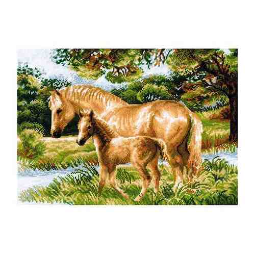 Набор для вышивания риолис арт.1258 Лошадь с жеребенком 40х30 см арт. 101386361057