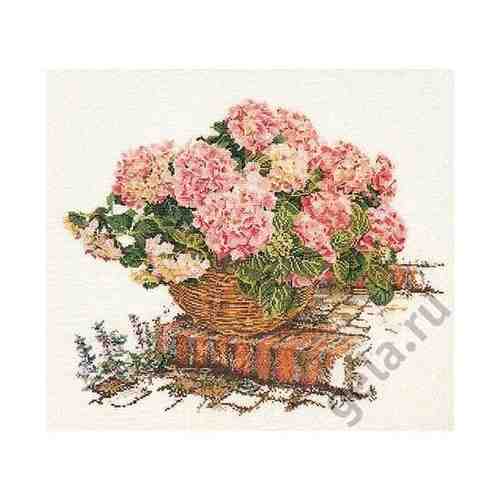Набор для вышивания Розовые Гортензии, канва аида 16 ct арт. 101338132466