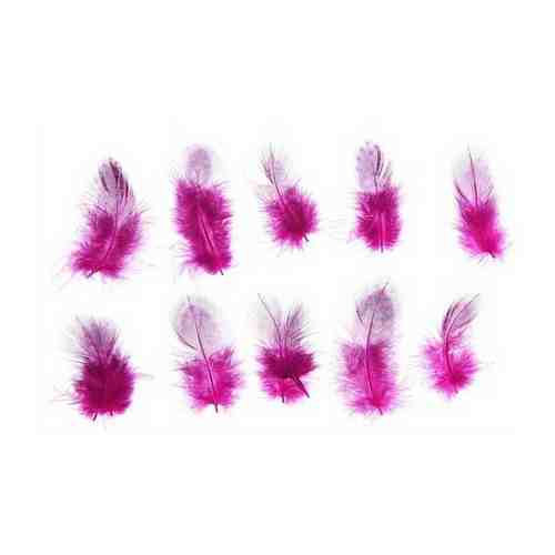 Набор перьев для декора 10 шт., размер 1 шт: 5 ? 2 см, цвет розовый с чёрным арт. 101474331319