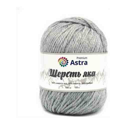 Пряжа для вязания Astra Premium 'Шерсть яка' (Yak wool) 100гр 120м (+/-5%) (25%шерсть яка, 50%шерсть, 25%фибра) (11 горький шоколад), 2 мотка арт. 101456539401