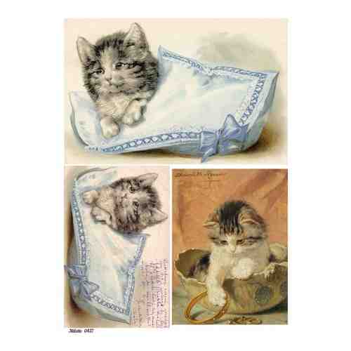 Рисовая бумага для декупажа карта салфетка А4 тонкая 0437 котик кошка котёнок винтаж крафт Milotto арт. 101515943925