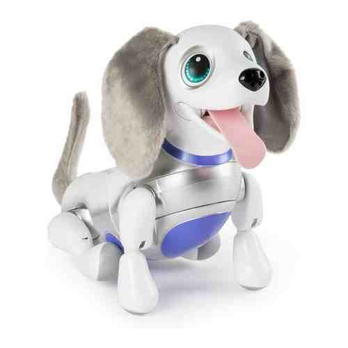 Робот Zoomer Playful Pup арт. 749080465