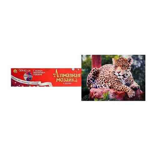 Рыжий кот Алмазная мозаика 30?40 см, классическая, полное заполнение, б/ подрамника, «Леопард на отдыхе» арт. 101474336971