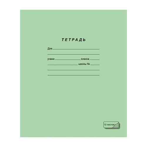 Тетрадь зелёная обложка, 12 л., линия с полями, офсет, пзбм, 19988 арт. 875522607