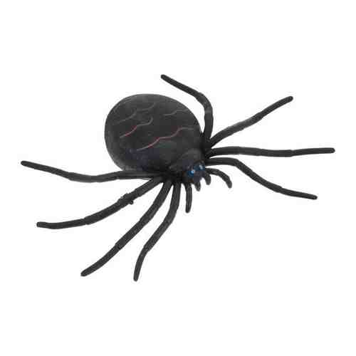 Животные-тянучки паук , фигурки из термопластичная резины. Цвет черный. арт. 101462345578