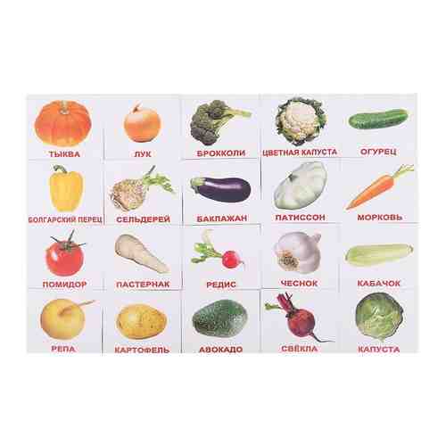 Овощи, Вундеркинд с пеленок (карточки Домана мини) арт. 877226448