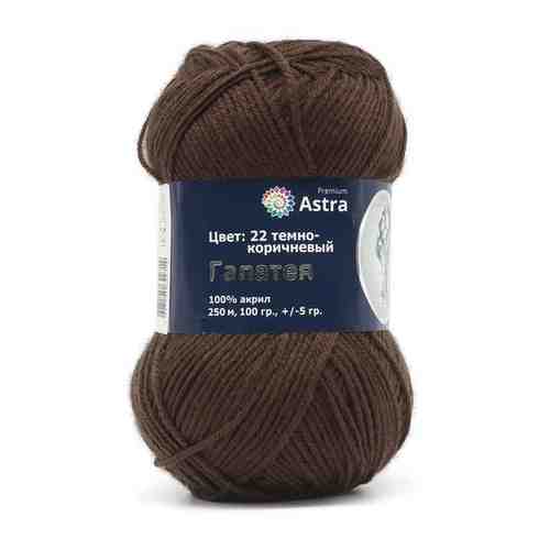 Пряжа для вязания Astra Premium 'Галатея' 100гр. 250м (100% акрил) (22 темно-коричневый), 3 мотка арт. 101456750091